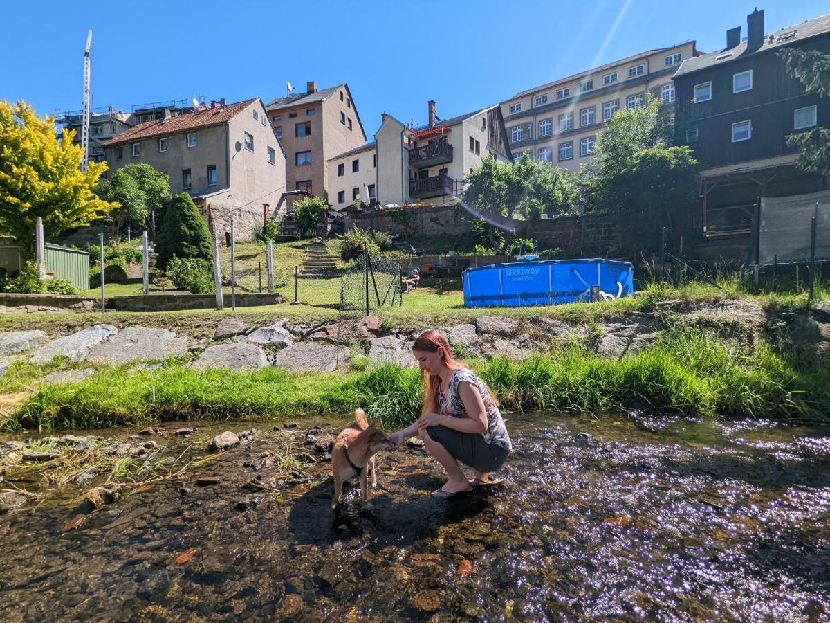 Famzi - Urlaubsmagie - Familienwohnung Mit Gemeinschaftsgarten, -Sauna & -Pool Зебниц Екстериор снимка